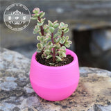 Mini Colourful Round Plastic Plant Flower Pot Garden Home Office Decor Planter Desktop Flower Pots Home Office Decoration